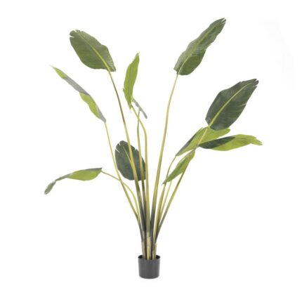 By-Boo Kunstplant Strelitzia - medium