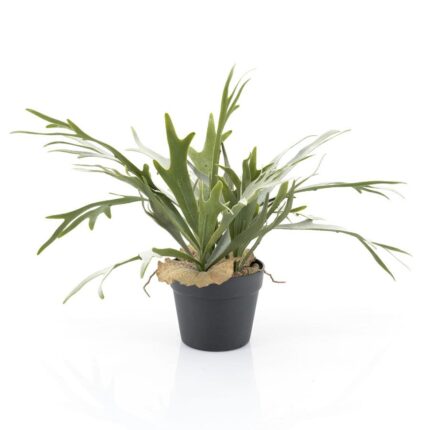 By-Boo Kunstplant Staghorn fern