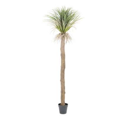 By-Boo Kunstplant Wild Yucca tree - large