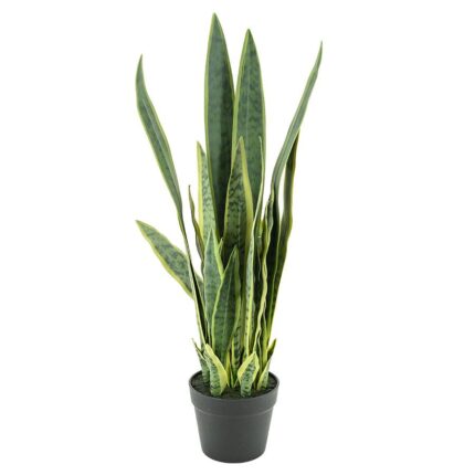 By-Boo Kunstplant Sansevieria - medium