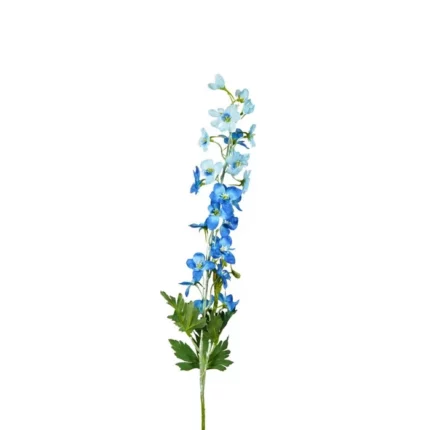 Zijdebloem Delphinium 75cm